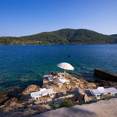 Dalmatia Sokolic