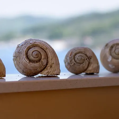 Dalmatia Sokolic * فيلا لوكا
