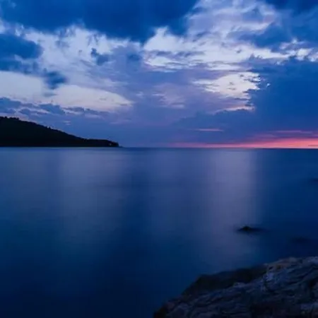 Dalmatia Sokolic