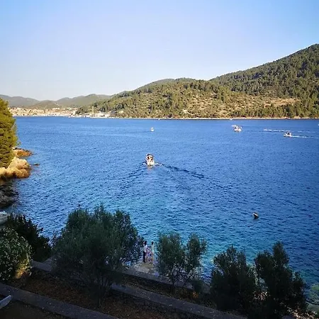 Dalmatia Sokolic *