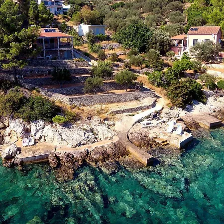 Dalmatia Sokolic *