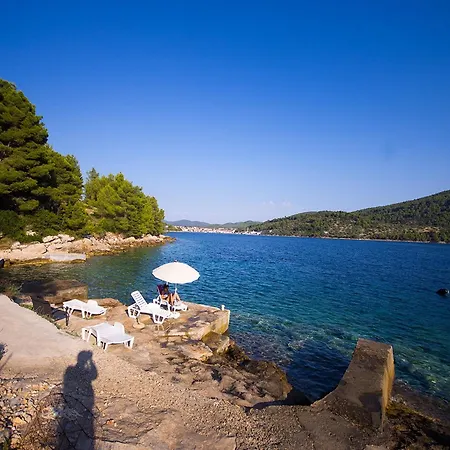 Dalmatia Sokolic
